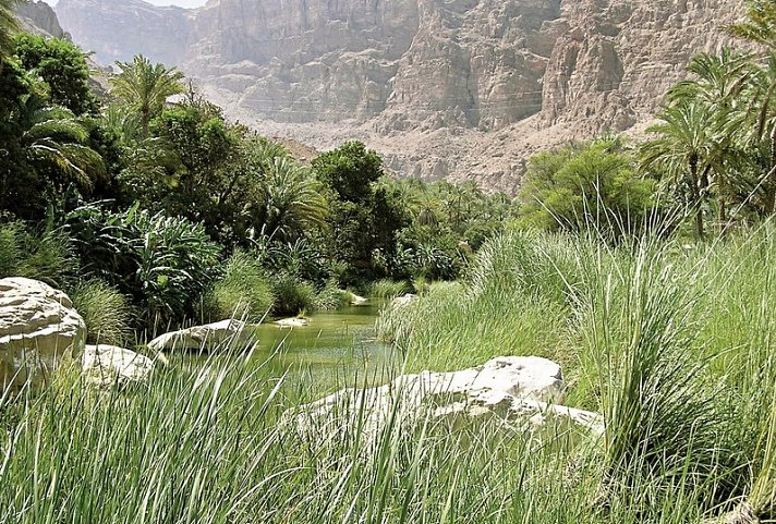 Off-Road durch das Sultanat Oman