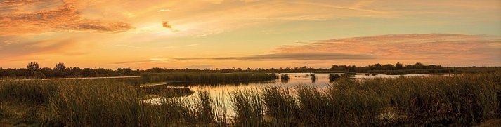 Florida Sunshine State Adventure