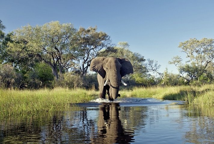 Botswana Exklusiv mit Sanctuary Retreats