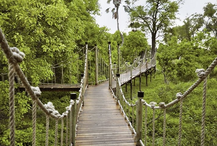 Botswana Exklusiv mit Sanctuary Retreats + Verlängerung