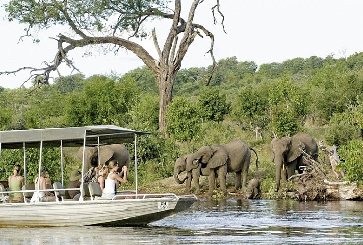 Botswana Exklusiv mit Sanctuary Retreats + Verlängerung
