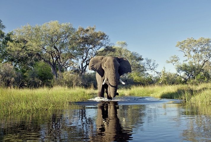 Botswana Exklusiv mit Sanctuary Retreats + Verlängerung