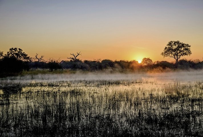 Botswana Exklusiv mit Sanctuary Retreats + Verlängerung