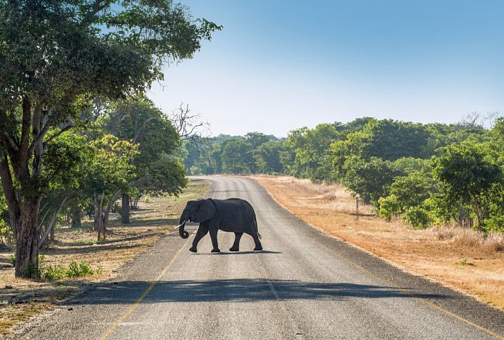 Fly&Drive Botswana - Ein Abenteuer für Einsteiger