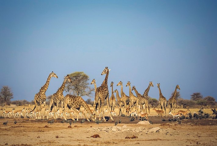 Fly&Drive Botswana - Ein Abenteuer für Einsteiger