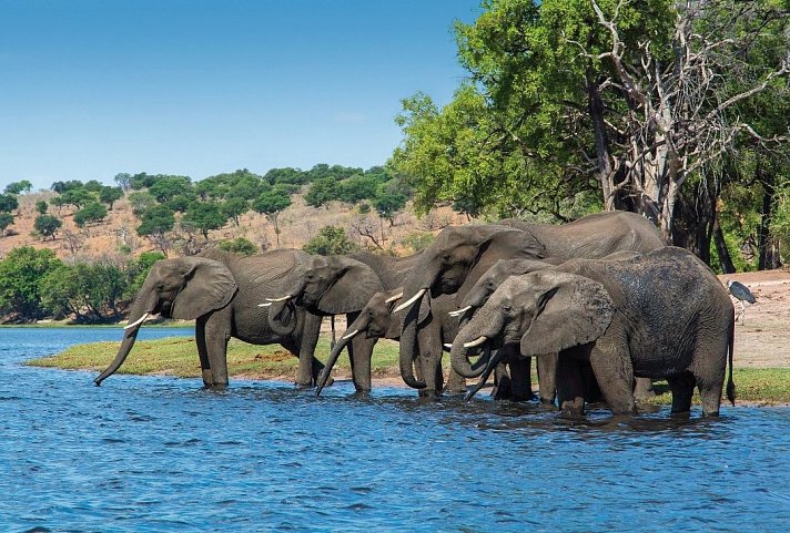 Fly&Drive Botswana - Ein Abenteuer für Einsteiger