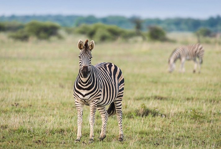 Fly&Drive Botswana - Ein Abenteuer für Einsteiger