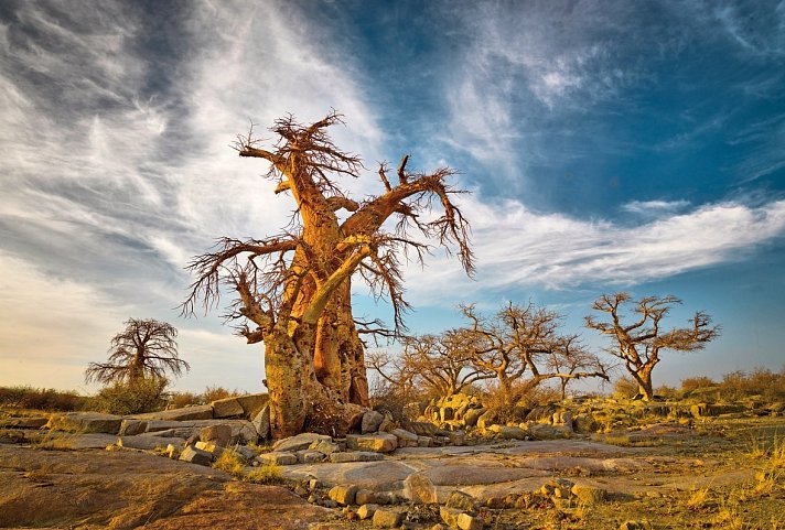 Fly&Drive Botswana - Ein Abenteuer für Einsteiger