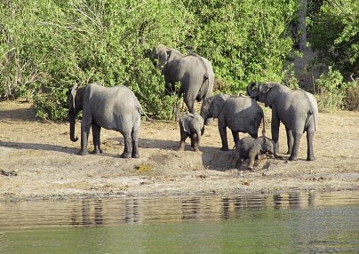 Fly&Drive Botswana - Ein Abenteuer für Einsteiger Maun