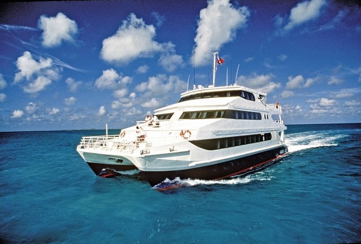 100 % Bahamas - Abenteuer Deluxe - Aqua Cat