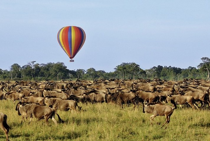 Masai Mara Fly-In Safari ab/bis Nairobi
