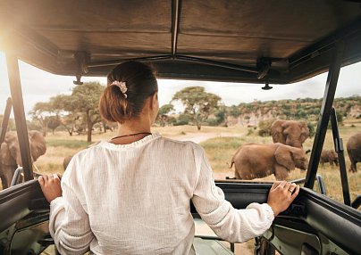 Zwischen Löwenpfaden und Akazienträumen Nairobi