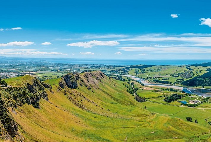 New Zealand Wine Trail