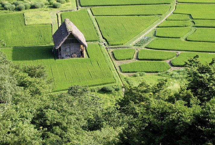 Land der aufgehenden Sonne (inkl. Flug)