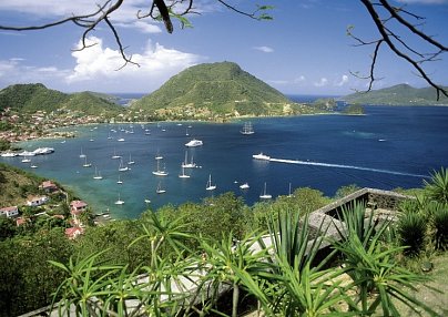 100 % Guadeloupe - Erlebnis Schmetterlingsinsel Pointe-a-Pitre