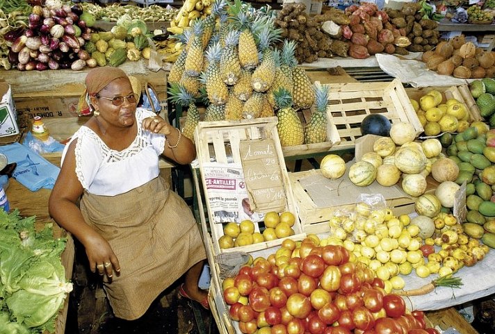 100 % Guadeloupe - Erlebnis Schmetterlingsinsel