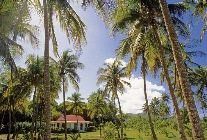 100 % Guadeloupe - Erlebnis Schmetterlingsinsel