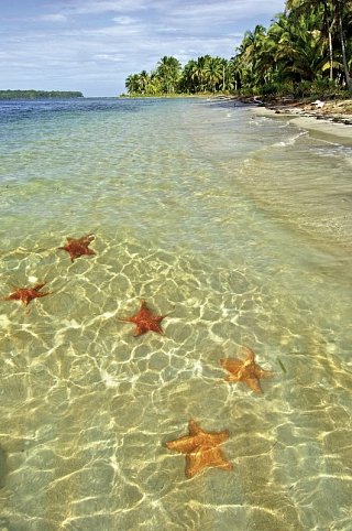 Karibische Inselträume: Bocas del Toro