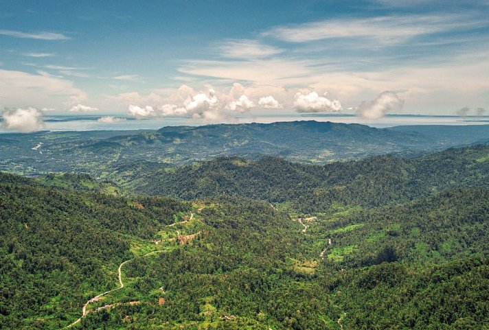 Best of Panama