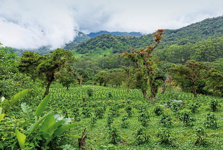 Panama - Natur, Tradition & Tropische Träume