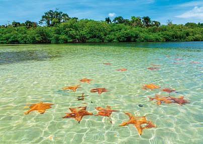 Panama auf eigene Faust inkl. Anschluss Bocas del Toro Panama City