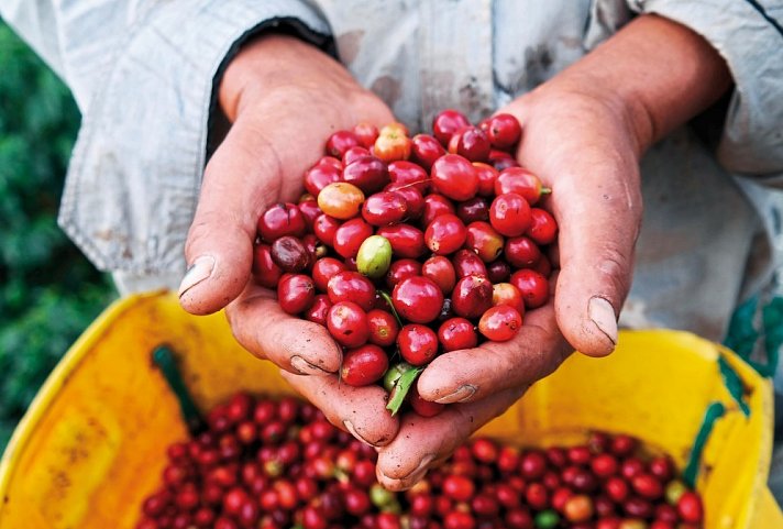 Panama & Kolumbien - von Kanalwundern, Kaffeekultur und Küstenzauber