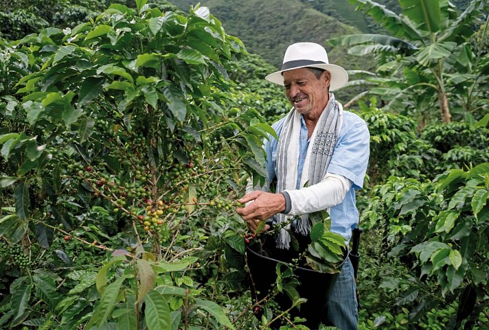 Panama & Kolumbien - von Kanalwundern, Kaffeekultur und Küstenzauber