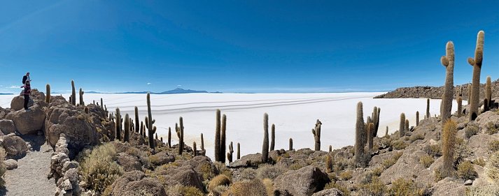 Naturwunder Altiplano & das Erbe der Inka