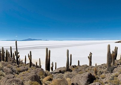 Naturwunder Altiplano & das Erbe der Inka Santiago de Chile