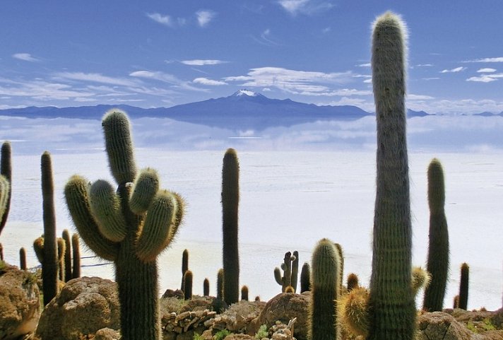 Naturwunder Altiplano & das Erbe der Inka