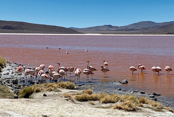 Naturwunder Altiplano & das Erbe der Inka