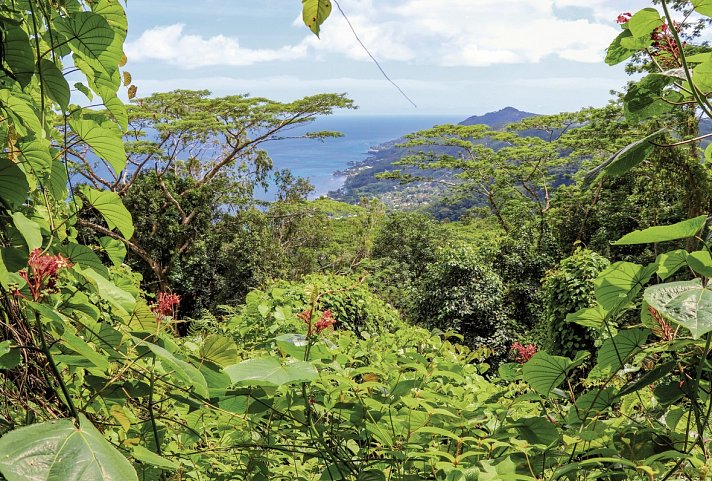 Island Hopping Seychellen - Faszinierender Archipel (Gästehäuser, 10 Nächte)