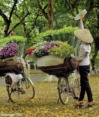 Vietnam Classic (Privatreise, umgekehrte Richtung)