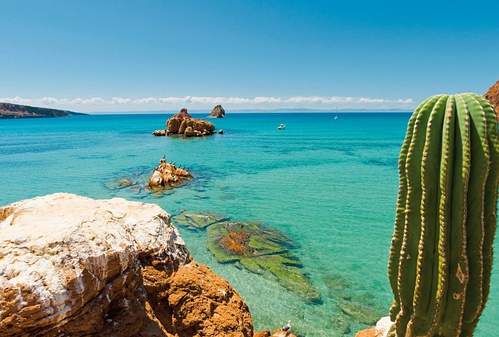 Baja California zwischen Wüste und Meer