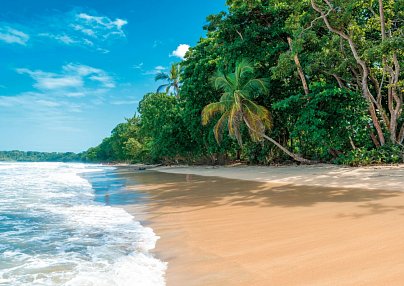 Nationalpark Cahuita San Jose