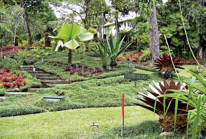 Pura Vida - Costa Rica hautnah (Privatreise)