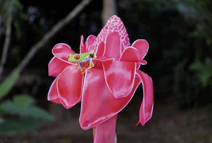 Geheimnisvolles Costa Rica: Vulkane und Regenwald