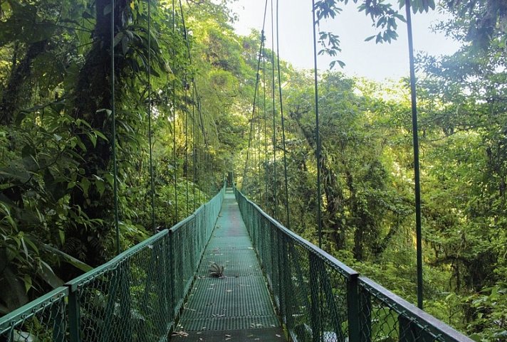 Geheimnisvolles Costa Rica: Nebelwald und Rote Aras
