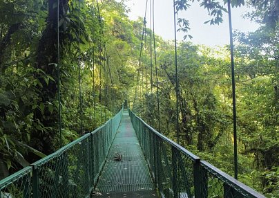 Geheimnisvolles Costa Rica: Nebelwald und Rote Aras San Jose