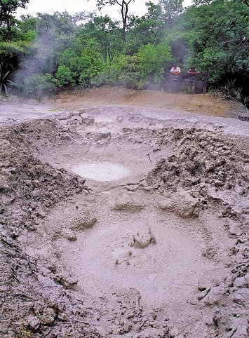 Grünes Paradies