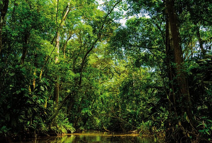 Karibik- und Dschungeltour
