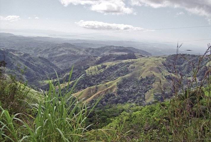 Nebelwald Monteverde