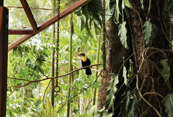 Nationalpark Manuel Antonio