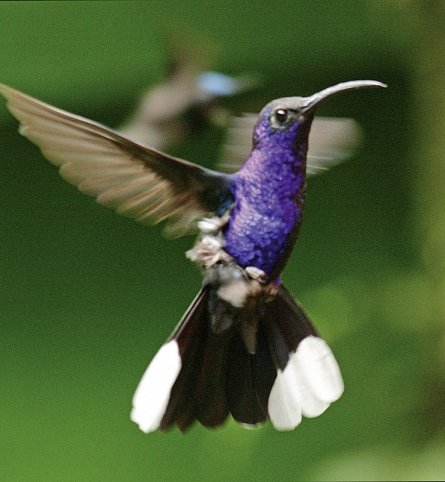 Best of Costa Rica