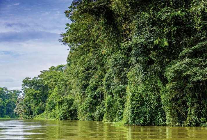 Costa Rica - Auf der Suche nach den Faultieren