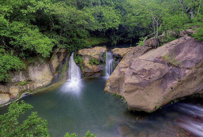 Costa Rica - Auf der Suche nach den Faultieren