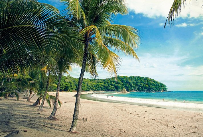 Costa Rica - Auf der Suche nach den Faultieren