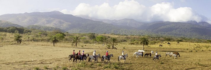 Costa Rica - Auf der Suche nach den Faultieren