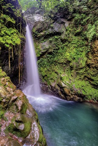 Costa Rica - Auf der Suche nach den Faultieren