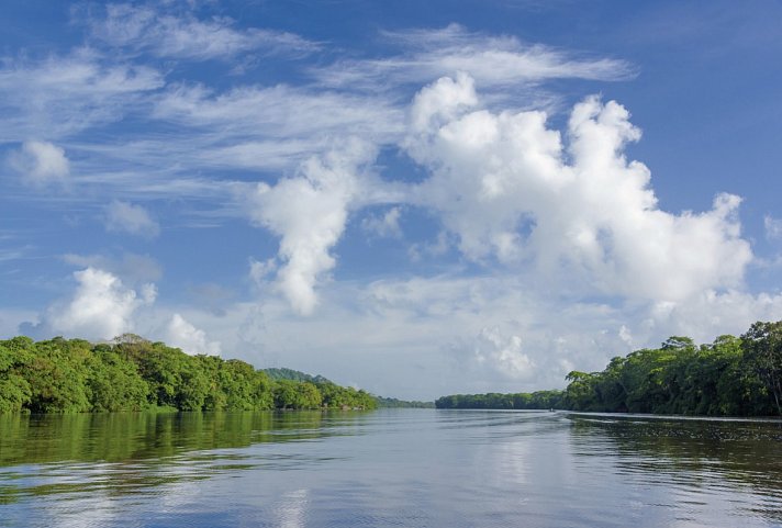 Costa Rica - Auf der Suche nach den Faultieren